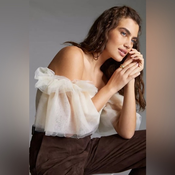 Anthropologie Sunday in Brooklyn Tulle Off The Shoulder Tapestry Bodice Top NWT - Picture 4 of 11